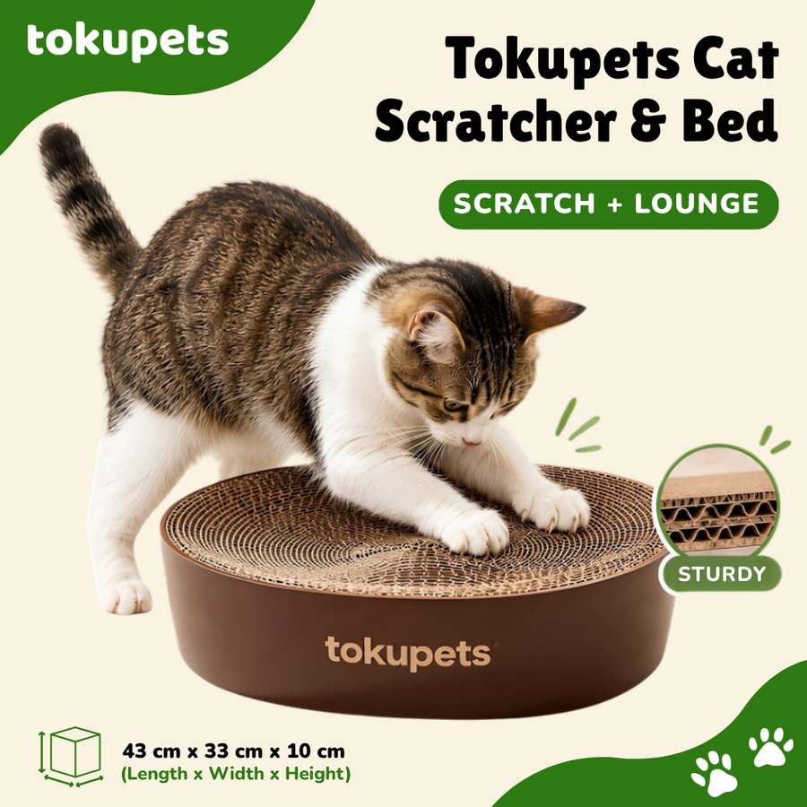 Tokupets 2-in-1 Oval Premium Cat Scratcher Bed | Durable and Sturdy | Eco-Friendly, Non-Toxic