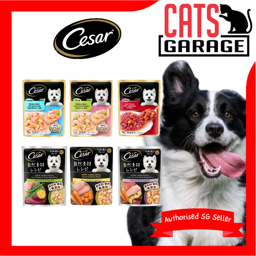 Cesar Assorted Natural Crafted/Premium Wet Dog Food Pouch 60g/70g (24-Pack)