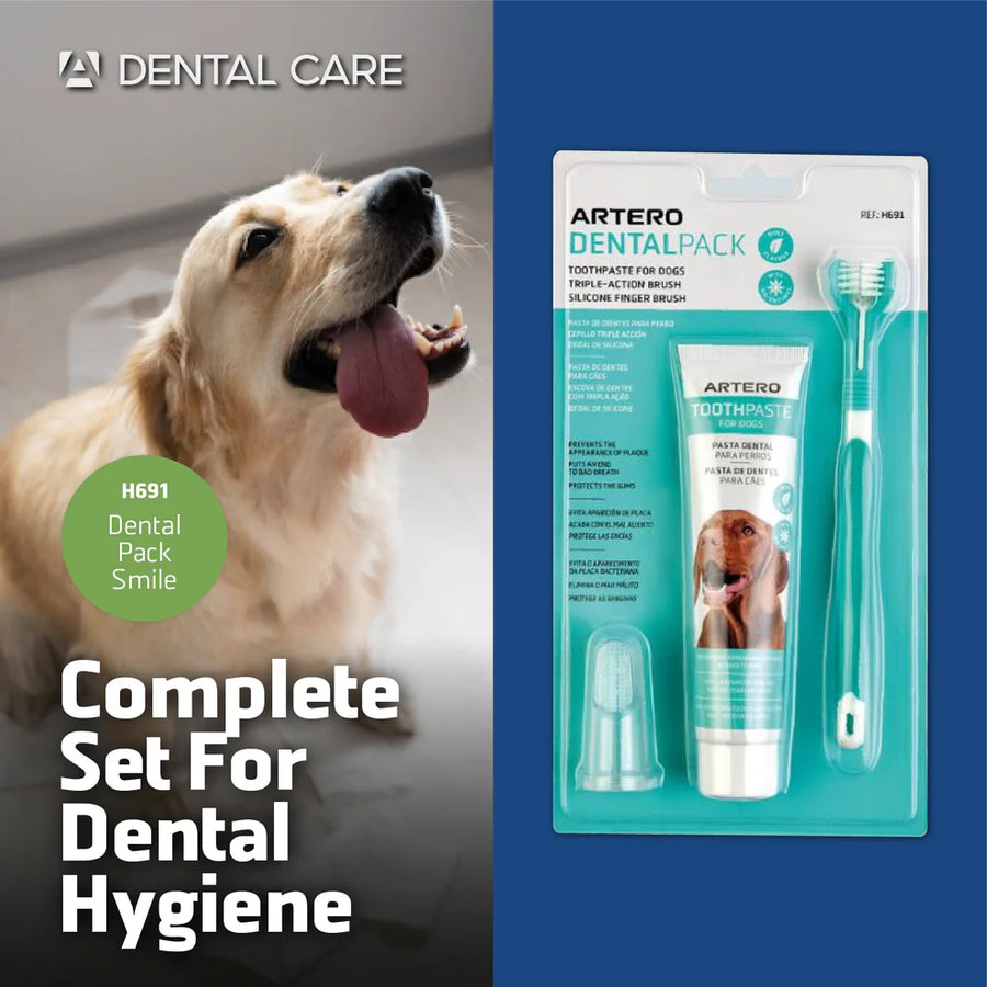 Artero Dental Pack