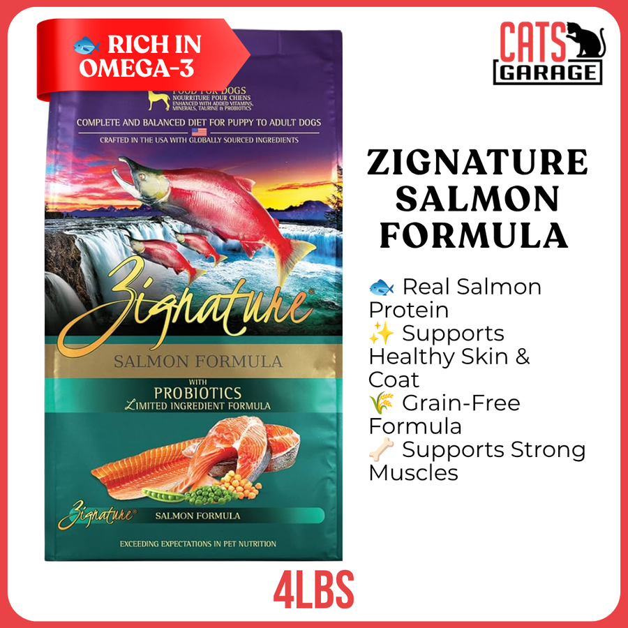 Zignature Salmon Formula Dry Dog Food 4lbs | Limited Ingredient | Grain-Free | Sensitive Skin & Stomach
