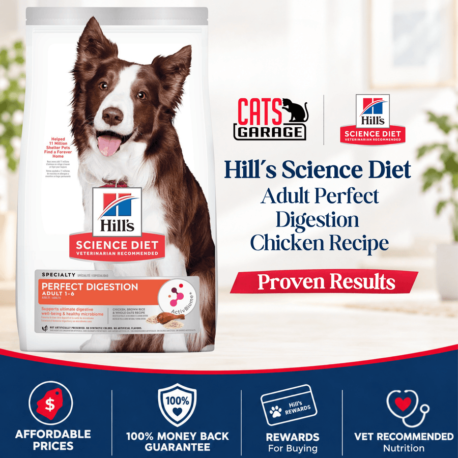 Hill's Science Diet Adult Perfect Digestion Chicken Dry Dog Food 10kg - Cats Garage