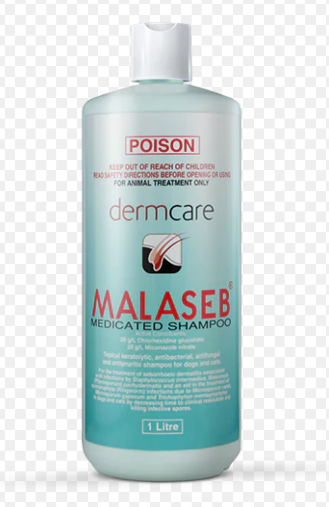 Dermcare Vet Malaseb Medicated Shampoo for Pets (3 Sizes)