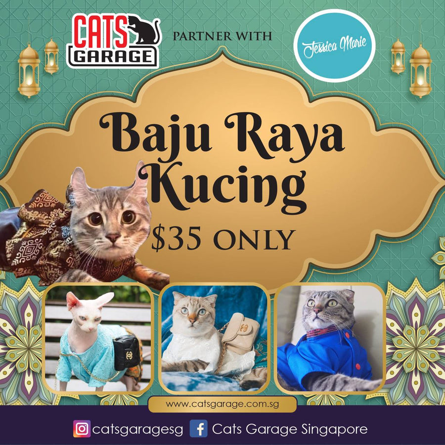 Jessica Marie - Kitty Kurung Raya