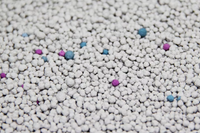 Bentonite Cat Litter