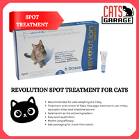 Cat Health & Wellness