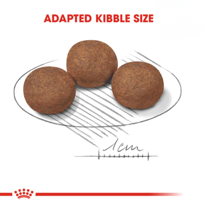 Royal Canin Canine Medium Junior Dry Puppy Food (2 Sizes)