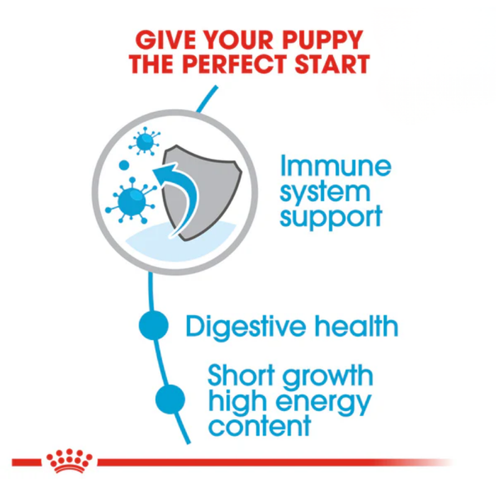 Royal Canin Canine Medium Junior Dry Puppy Food (2 Sizes)