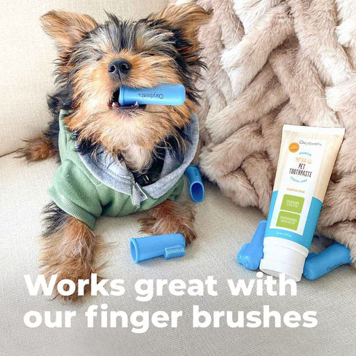 Oxyfresh Premium Vet Formulated Plaque & Tartar Cat & Dog Toothpaste (2 Sizes)