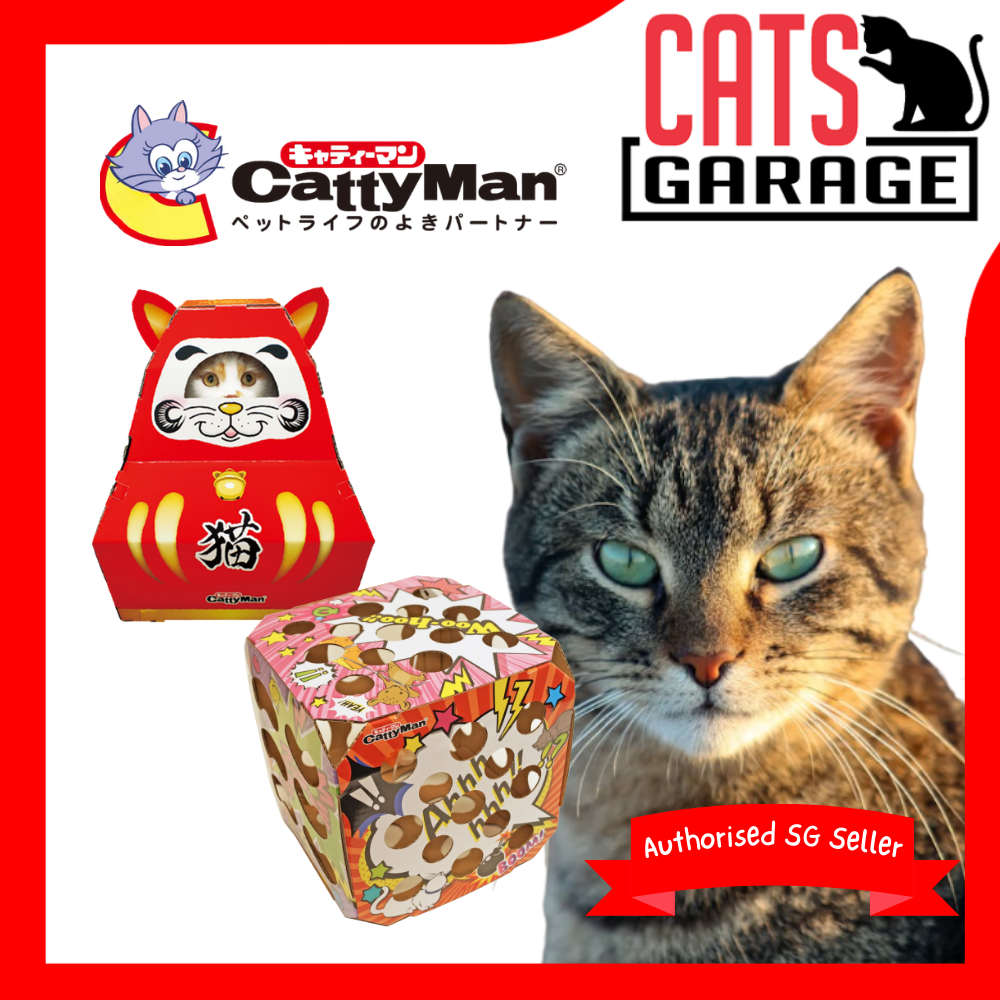 CattyMan Interactive Puzzle Fun Box & Fortune Playing Box Cat Toy