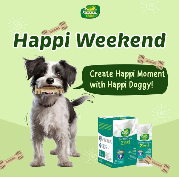 Happi Doggy Zest Milk 4 Inch Dental Dog Chew 25g X 50 Pcs