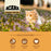 ACANA Wild Prairie Freeze-Dried Infused Cat Food 340g | High Protein Poultry Recipe Cat Kibble