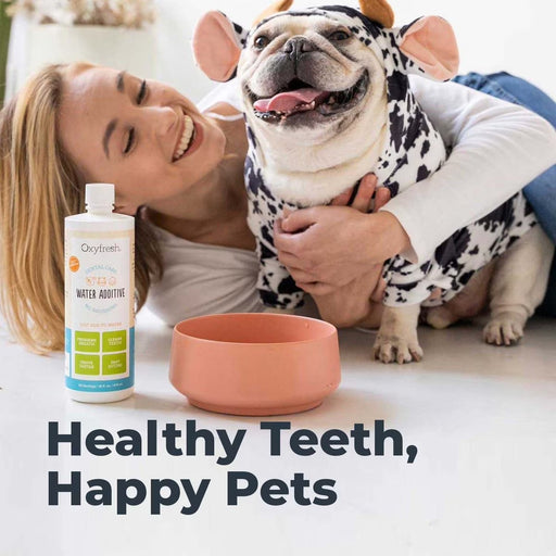 Oxyfresh Premium Pet Care Solution Cat & Dog Dental Water Additive 1 GALLON