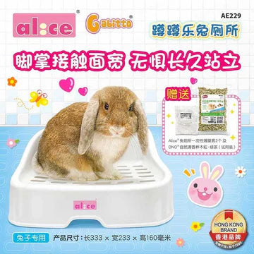 Alice Gabitto Extra Comfort Rabbit Toilet