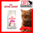 Royal Canin Feline Exigent Protein Cat Dry Food (2 Sizes)