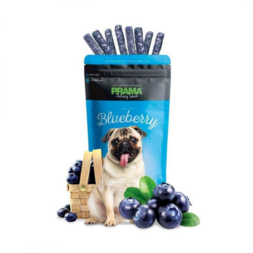 Prama Delicacy Snack JUICY BLUEBERRY 70g