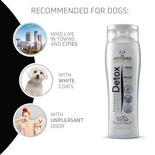 Artero Detox Shampoo 250ml