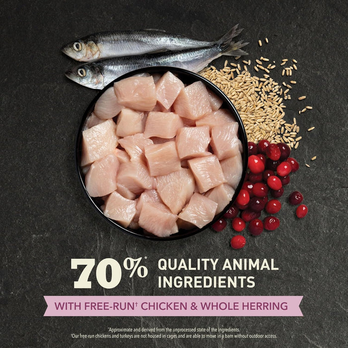 ACANA Kitten Food Classic First Feast | Dry Cat Food Kibbles for Kittens | High Protein Healthy Growth & Development