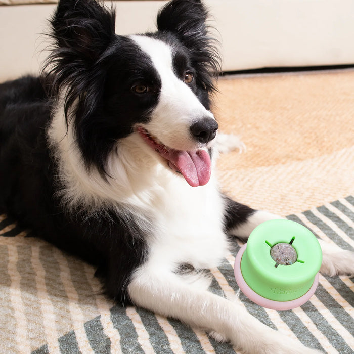 Puzzle Feeder Interactive Dog Toy Lickpop Green