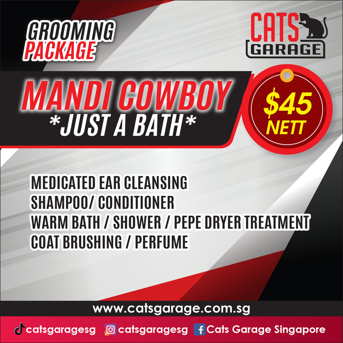 Cats Garage | Feline Grooming Services - 62 Ubi Road 1