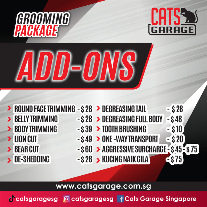 Cats Garage | Feline Grooming Services - 62 Ubi Road 1