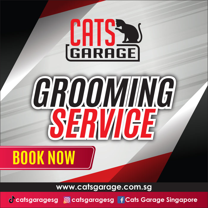 Cats Garage | Feline Grooming Services - 62 Ubi Road 1