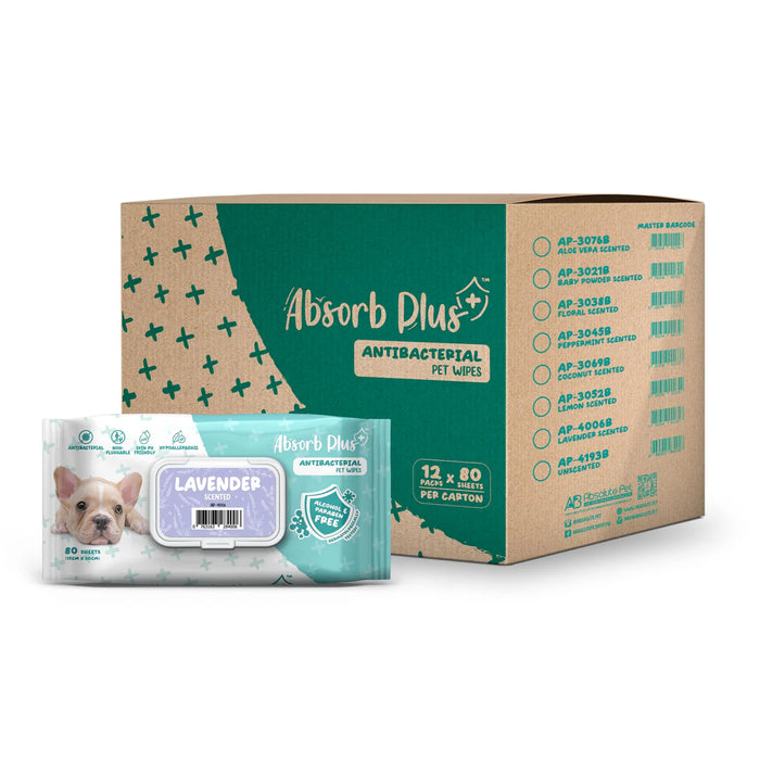 Absorb Plus Antibacterial Pet Wipes Lavender Alcohol & Paraben Free 80pcs x 12