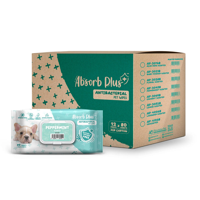 Absorb Plus Antibacterial Pet Wipes Peppermint Alcohol & Paraben Free 80pcs x 12