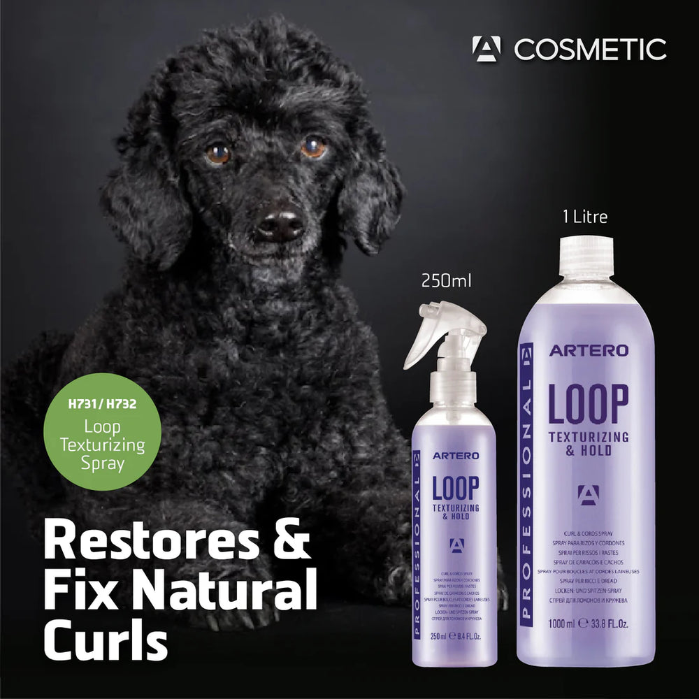 Artero Loop Texturizing Spray (250ml & 1L)