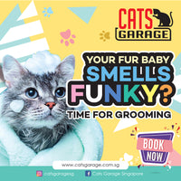 Cat Services