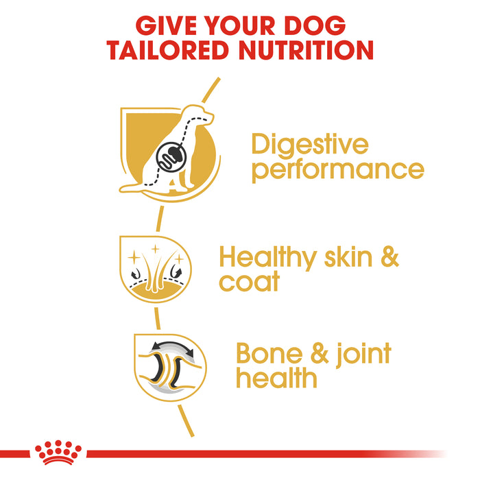 Royal Canin German Shepherd Adult Dry Dog Food 11kg