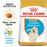 Royal Canin Puppy Golden Retriever Dry Dog Food 12kg