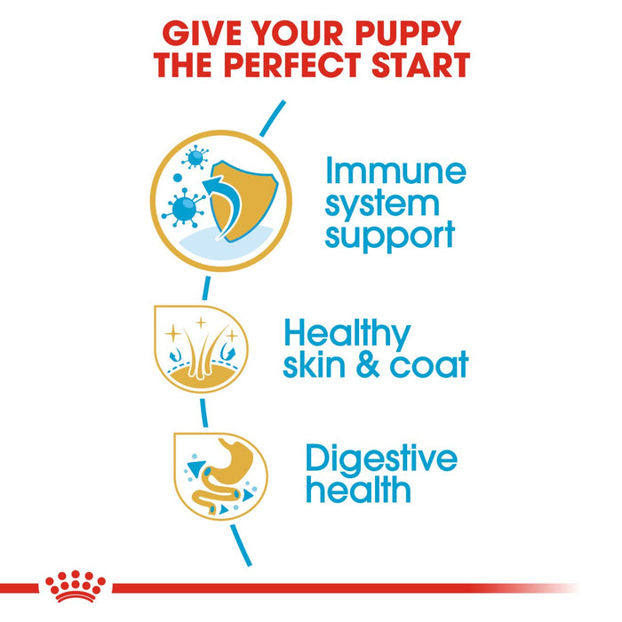 Royal Canin Puppy Golden Retriever Dry Dog Food 12kg