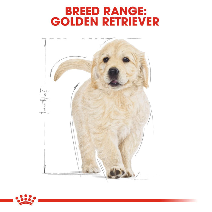Royal Canin Puppy Golden Retriever Dry Dog Food 12kg