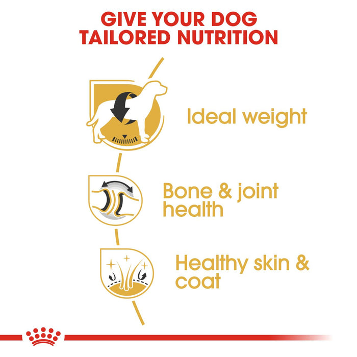 Royal Canin Labrador Retriever Adult Dry Dog Food 12kg