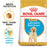 Royal Canin Puppy Labrador Retriever Dry Dog Food 12kg