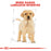 Royal Canin Puppy Labrador Retriever Dry Dog Food 12kg