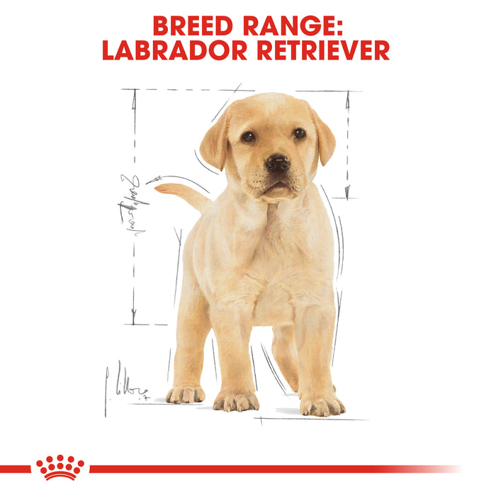 Royal Canin Puppy Labrador Retriever Dry Dog Food 12kg