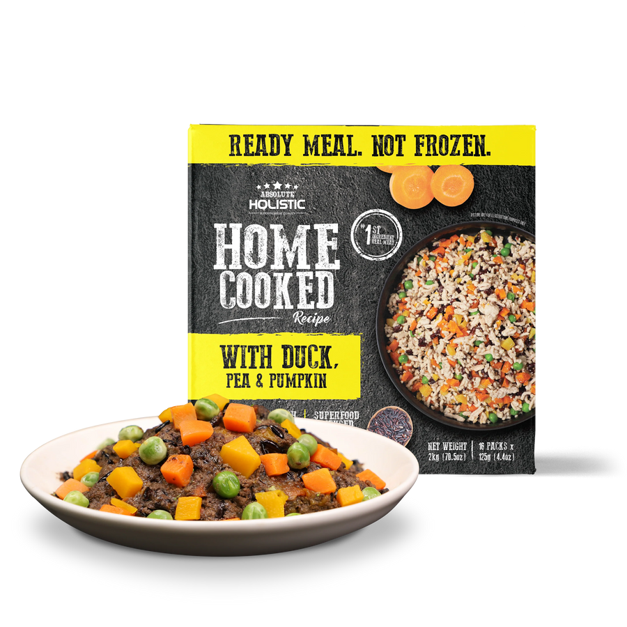 Absolute Holistic Home Cooked Style Recipe Gently Cooked Duck, Peas & Pumpkin Dog Food 125g X16