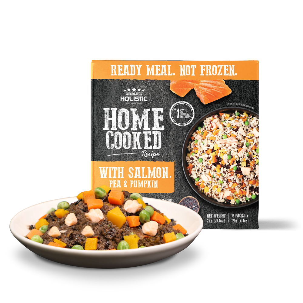 Absolute Holistic Home Cooked Style Recipe Gently Cooked Salmon, Peas & Pumpkin Dog Food 125g X16