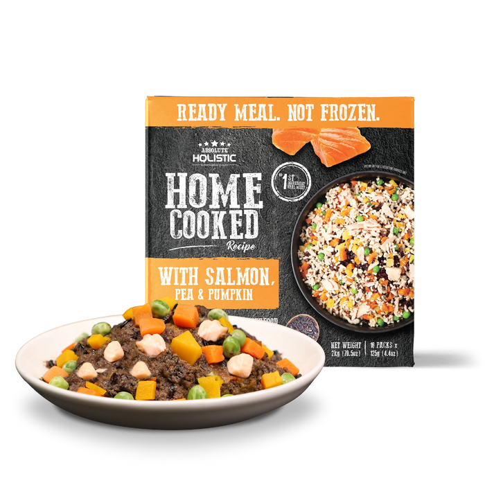Absolute Holistic Home Cooked Style Recipe Gently Cooked Salmon, Peas & Pumpkin Dog Food 125g X16