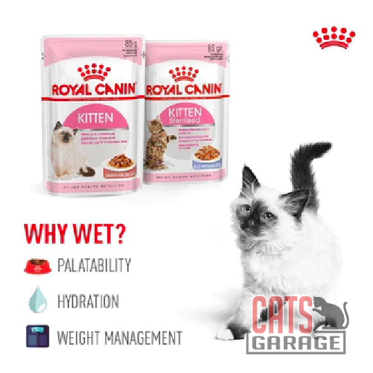 Royal Canin Feline Pouch Kitten Cat Wet Food 85g