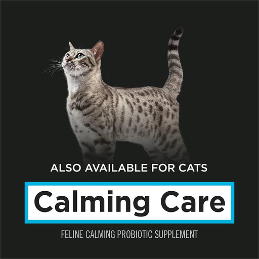 Pro Plan Veterinary Supplements Purina Calming Care Cat