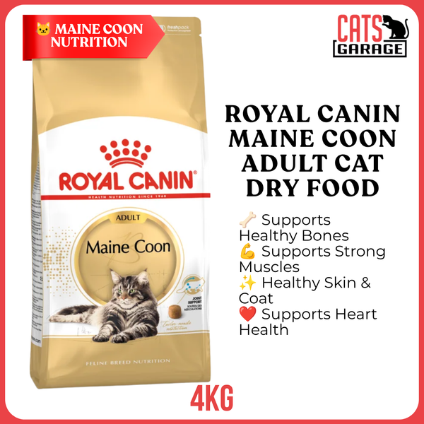 Royal Canin Feline Adult Maine Coon Cat Dry Food 4kg
