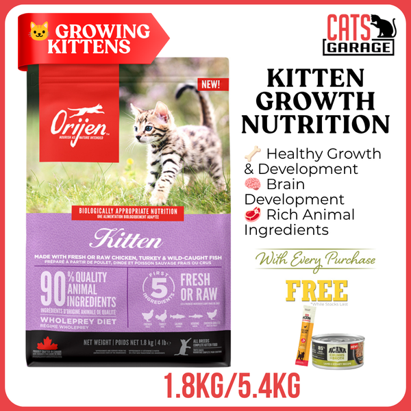 ORIJEN Kitten Freeze-Dried Infused Dry Cat Food | Kitten Kibble Grain Free WholePrey Recipe Growth & Development