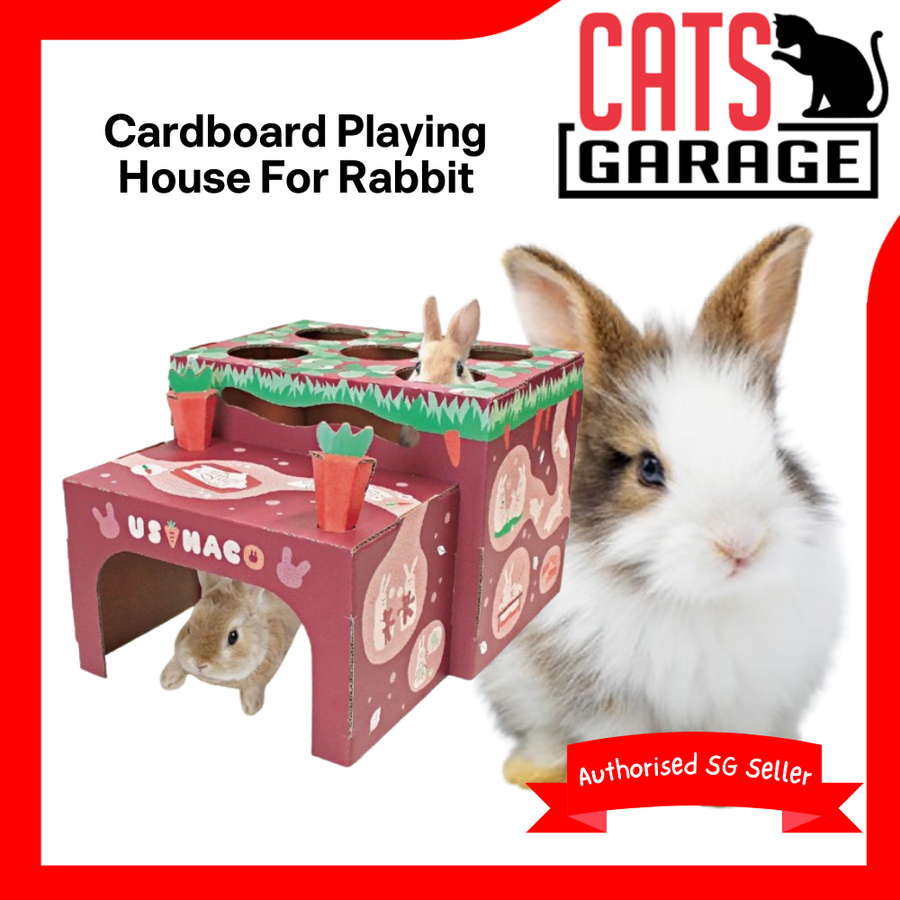 Animan Playing House For Rabbit