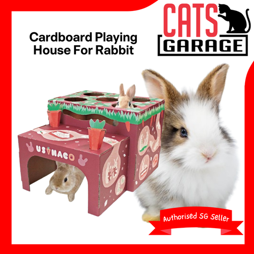 Animan Playing House For Rabbit