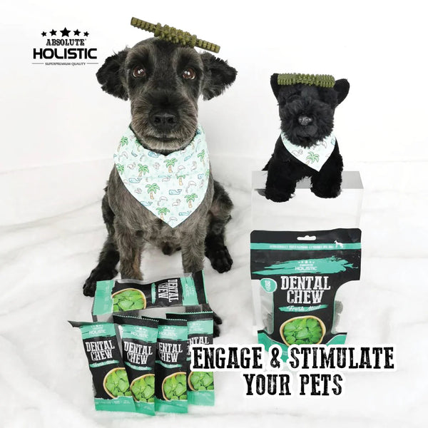Absolute Holistic Value Pack Fresh Mint Dental Chews for Dogs 160g