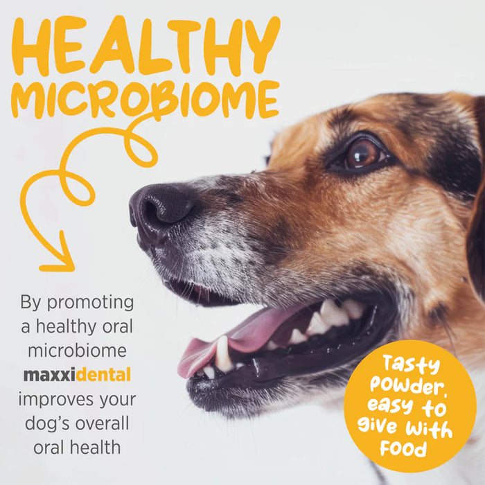 MaxxiPaws  MaxxiDental for dogs 140g