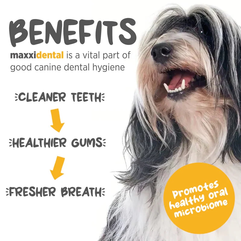MaxxiPaws  MaxxiDental for dogs 140g