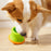 Puzzle Feeder Tumbler Interactive Dog Toy S/M breeds